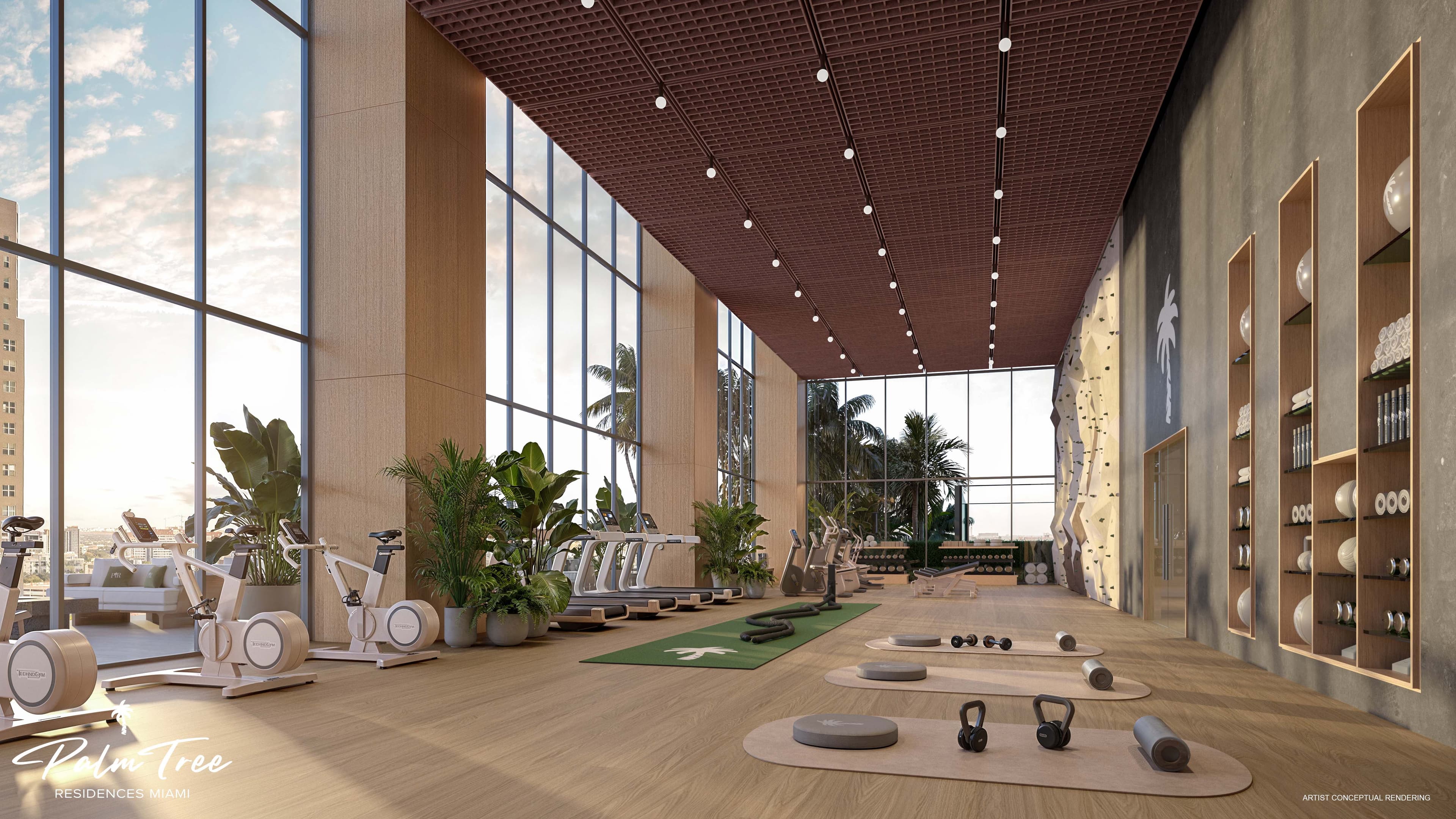 Technogym fitness center with climbing wall